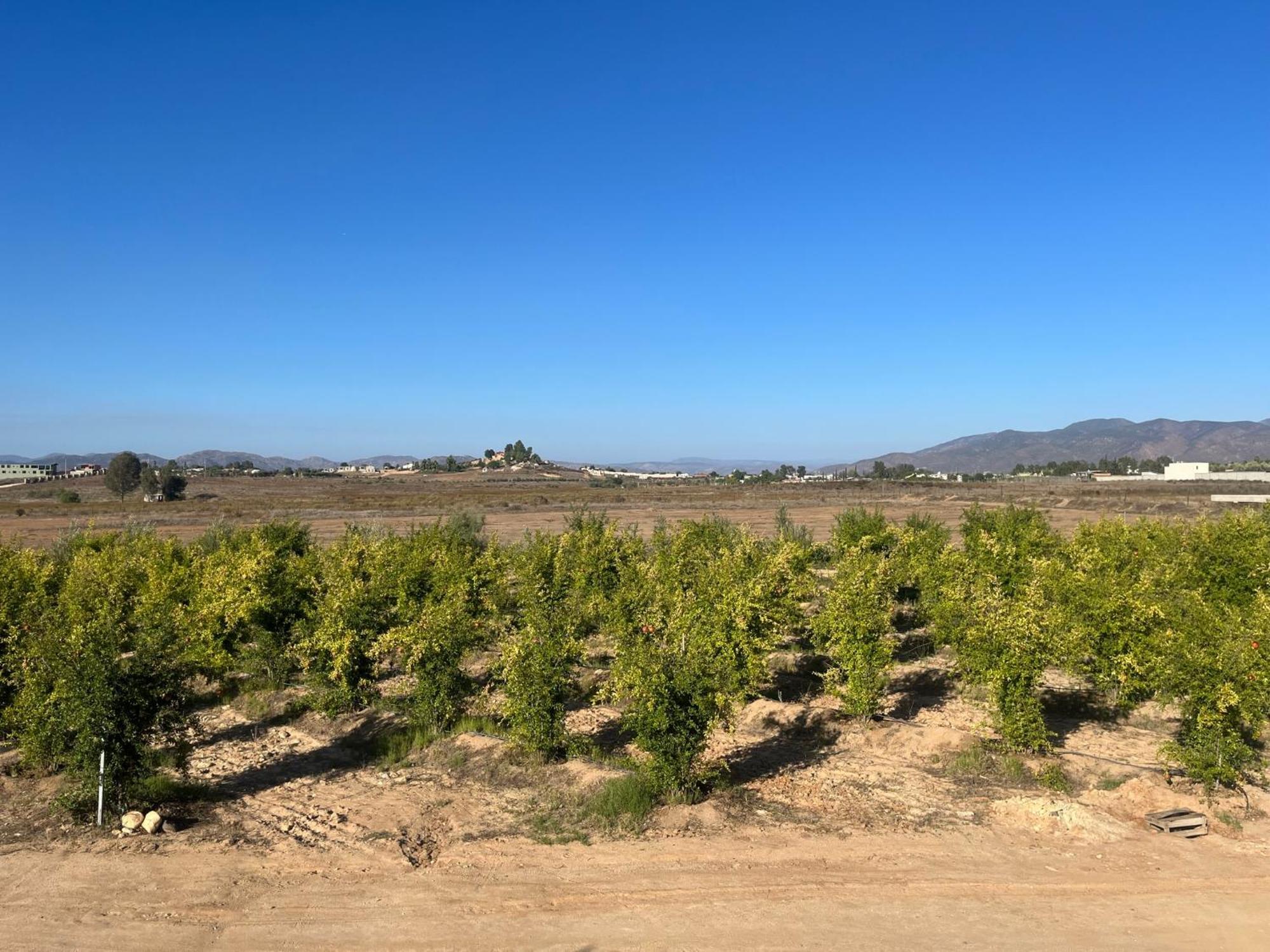 Villas Persas By Jardin De Persia Valle de Guadalupe Esterno foto